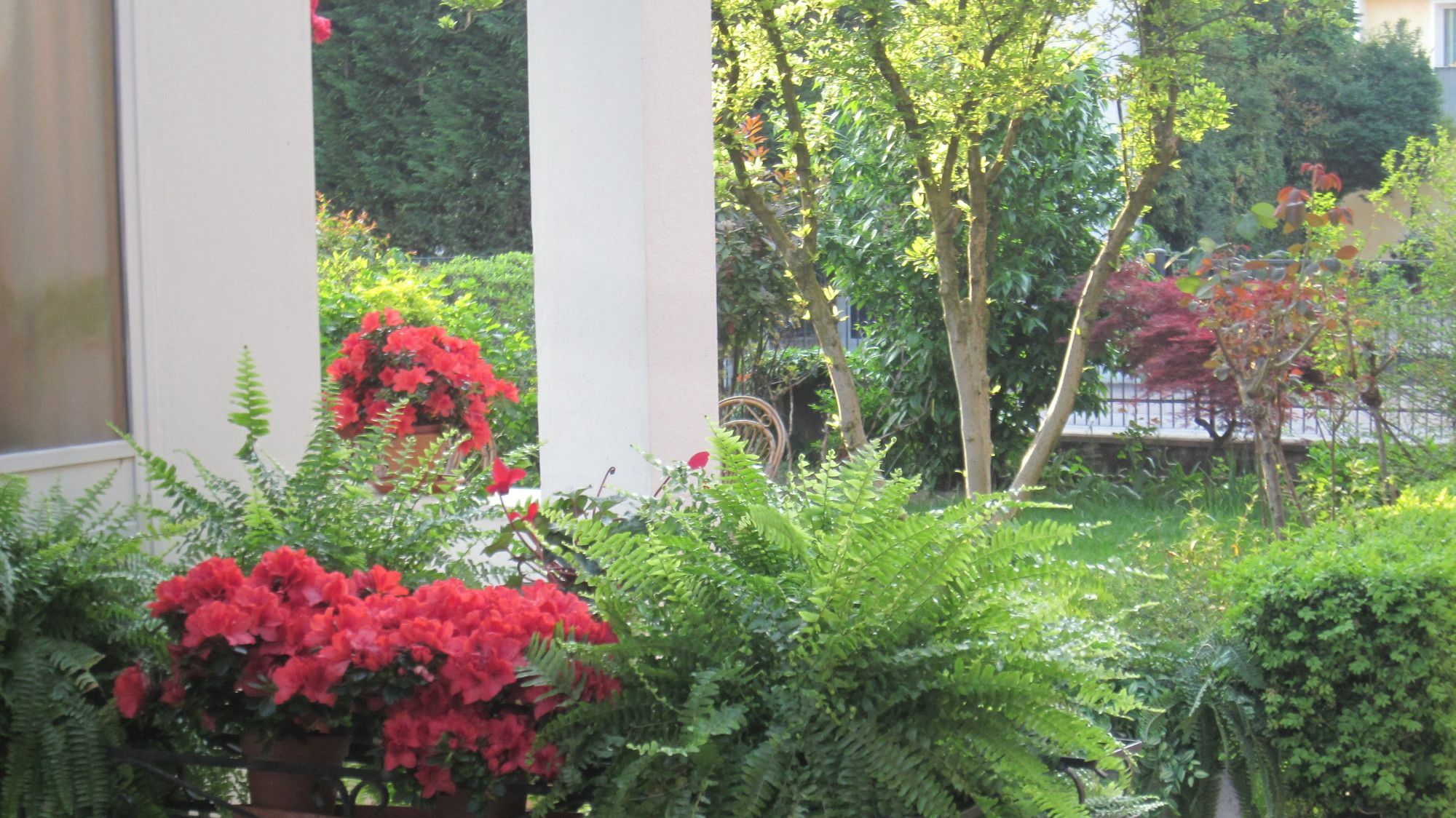 Bed and Breakfast A Casa Di Dora Treviso Esterno foto
