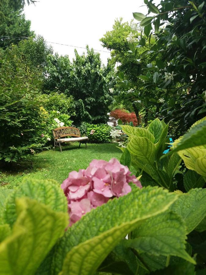 Bed and Breakfast A Casa Di Dora Treviso Esterno foto